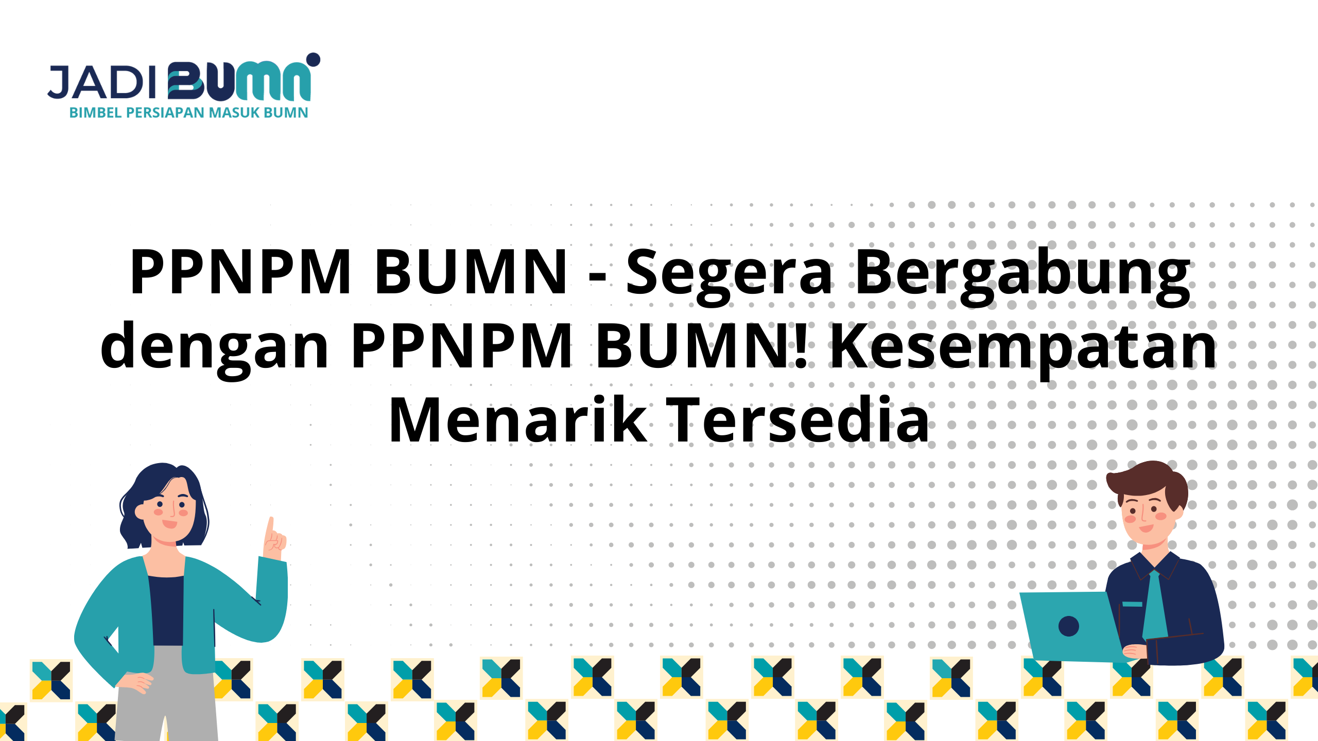 PPNPM BUMN