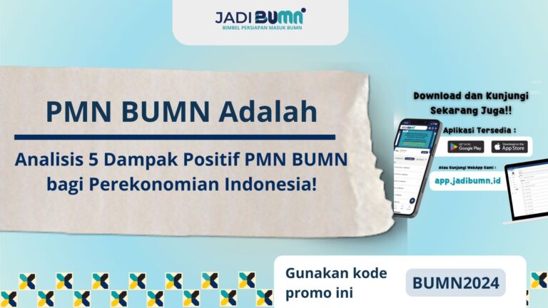 PMN BUMN Adalah