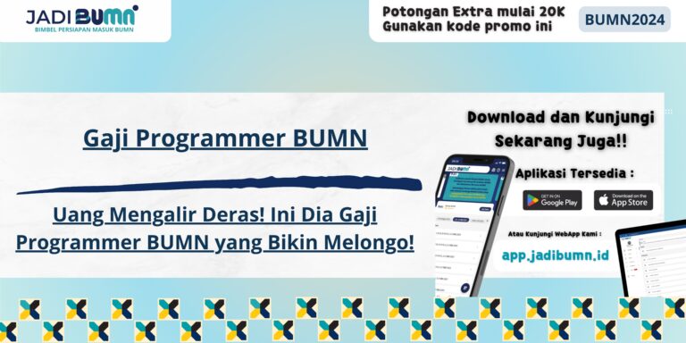 Gaji Programmer BUMN - Uang Mengalir Deras! Ini Dia Gaji Programmer BUMN yang Bikin Melongo!